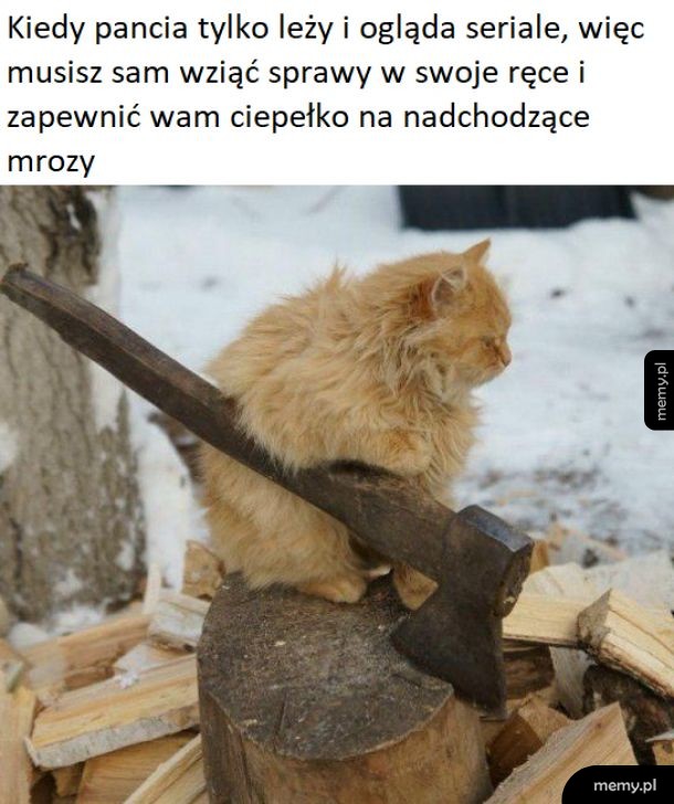 Zaradny kitku