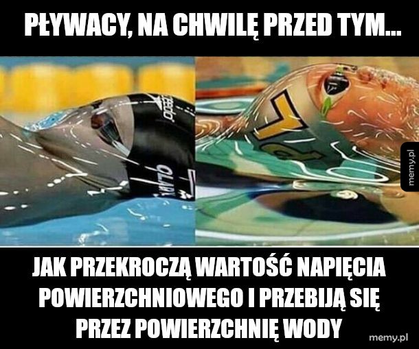 Fizyka w sporcie