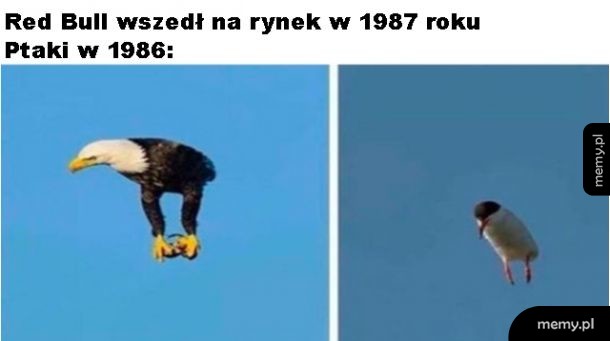 Dodał skrzydeł