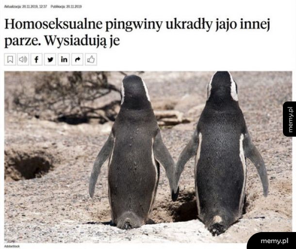 Zaczęło się