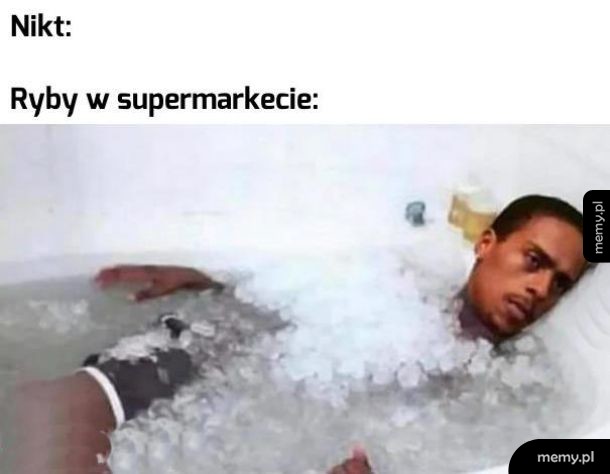 Zawsze mnie trochę brzydziły takie wystawy