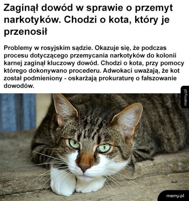 Kluczowy dowód