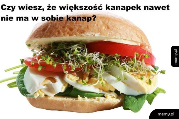 Ciekawostka na dziś