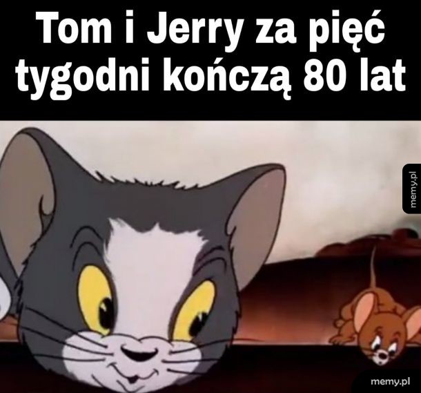 Ciekawostka