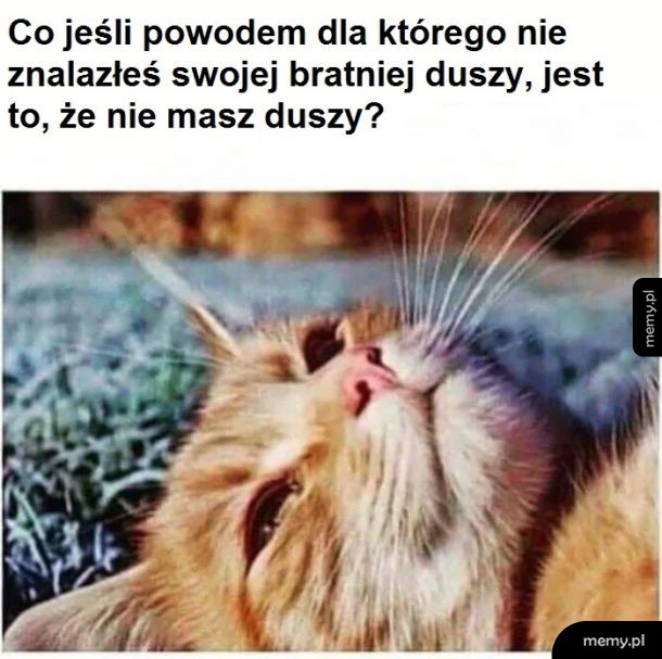Co jeśli?