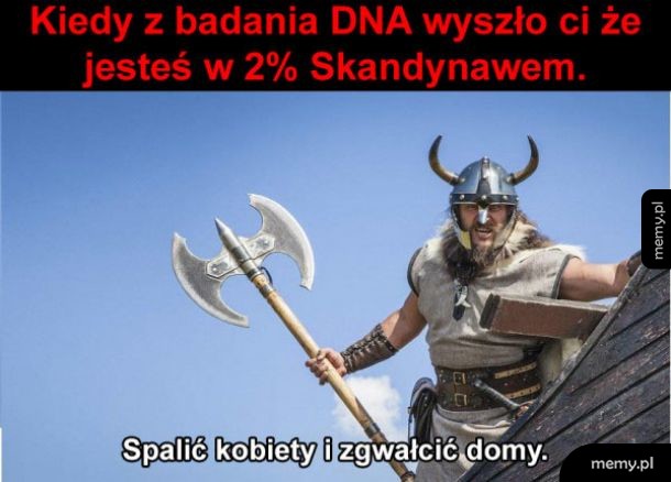 Jestem Wikingiem