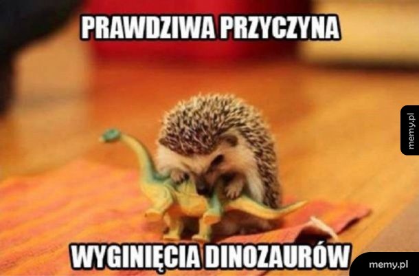 Prawdziwa przyczyna