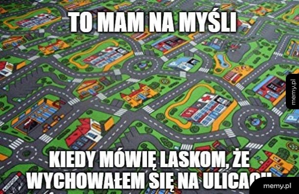 Wychowałem się na ulicy