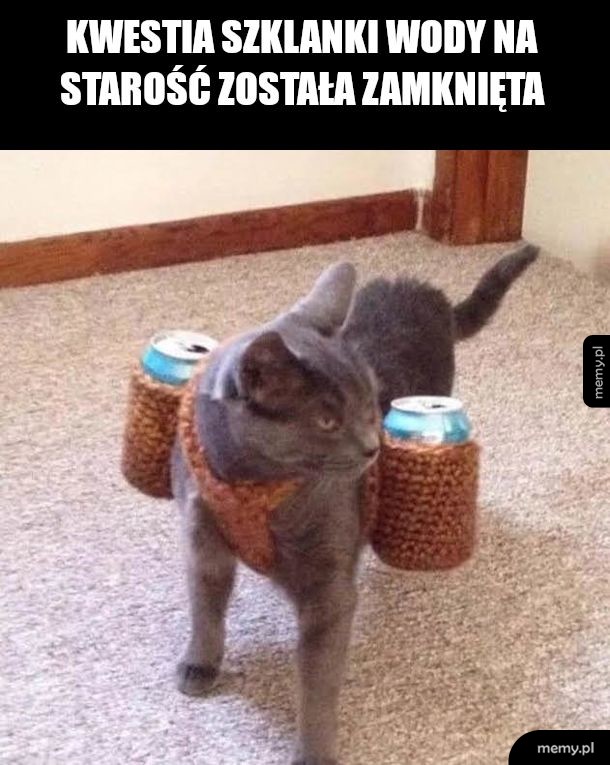 Dziękuję, dobranoc.