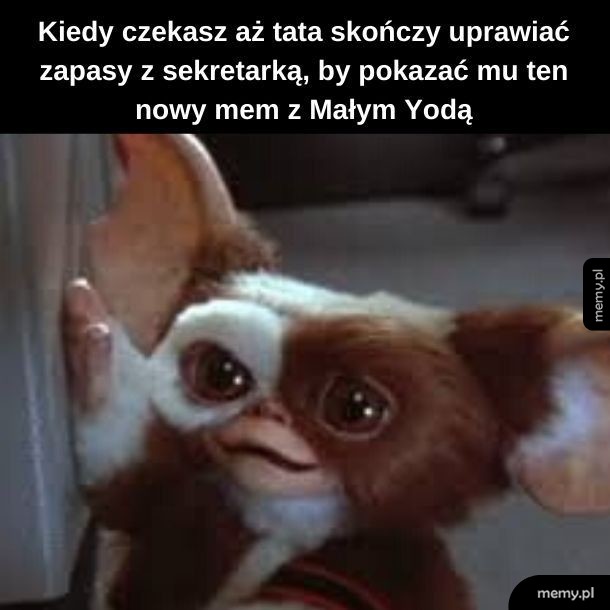 Śmieszne te memy