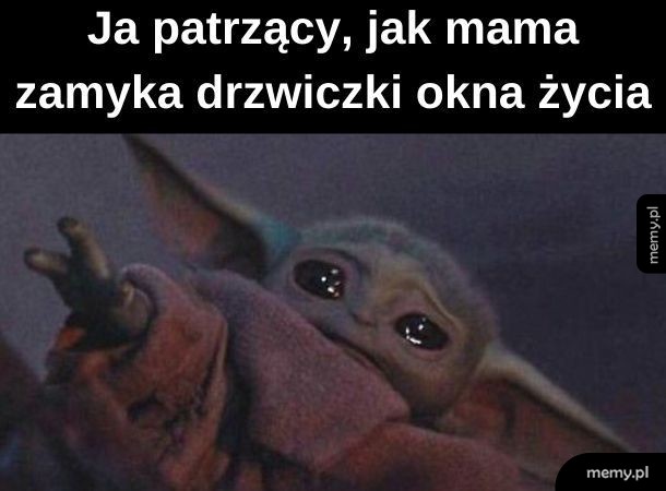 Okno ma drzwiczki?