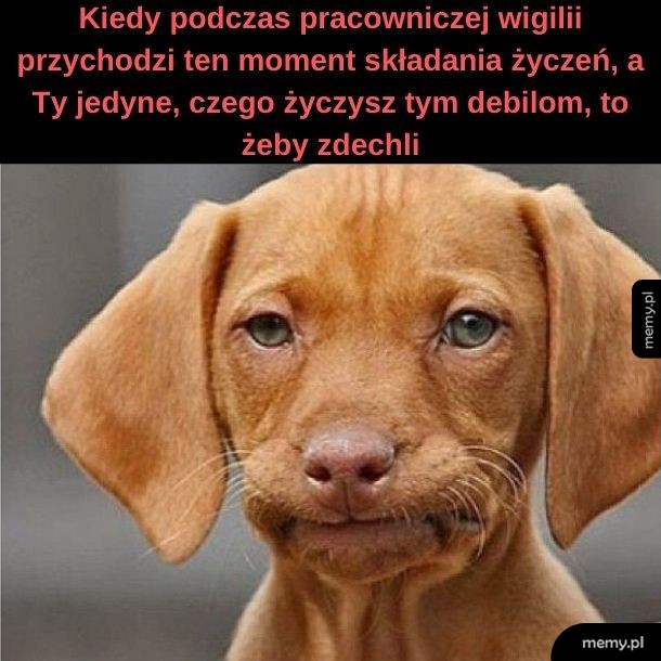 Wigilie pracownicze takie są