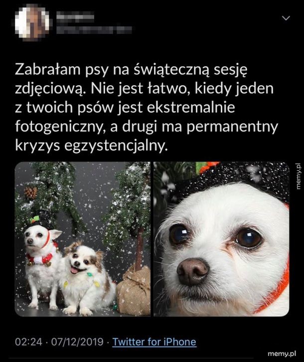 Sesja fotograficzna