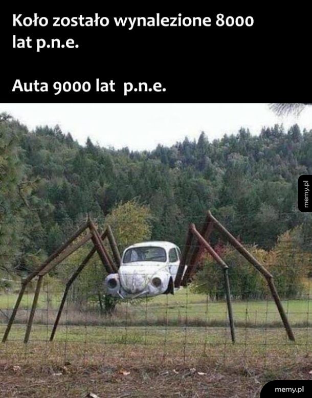 Koło