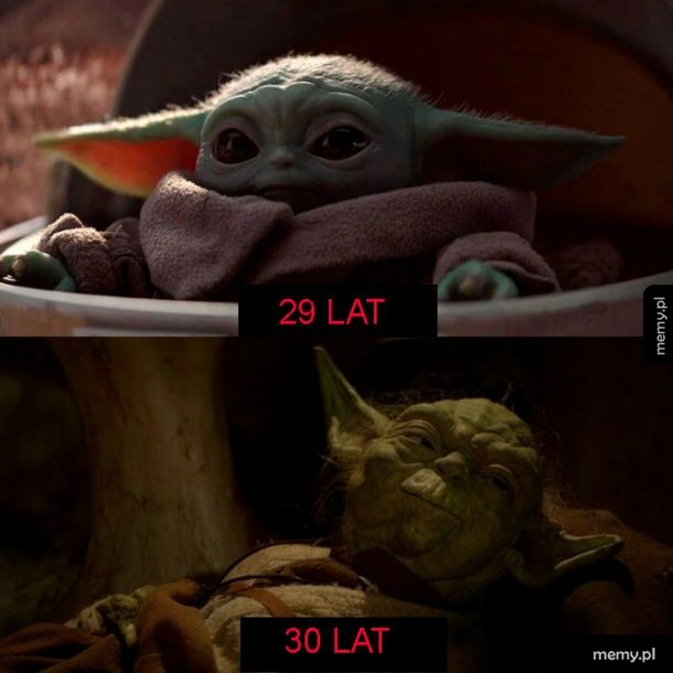 Tak to wygląda