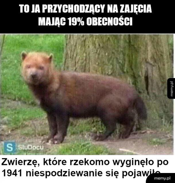 Nie ma i nagle jest