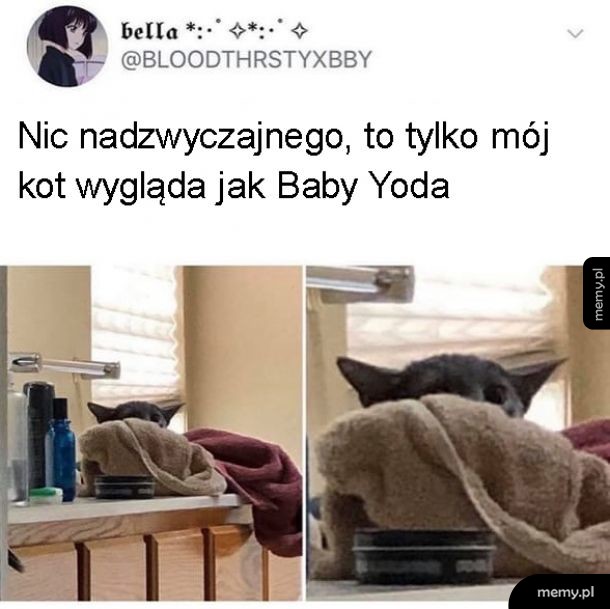 Podobieństwo