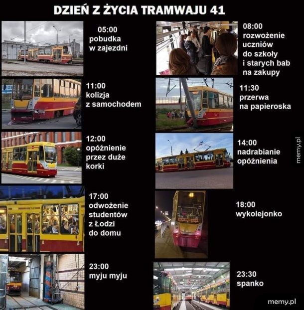 Dzień z życia