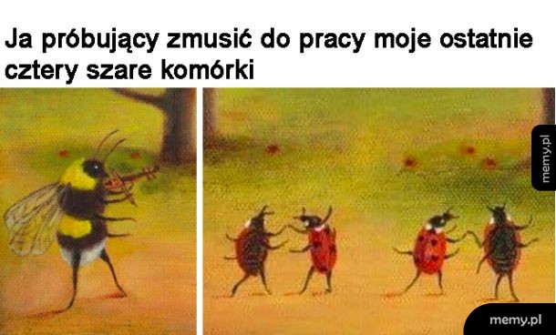 Szare komórki