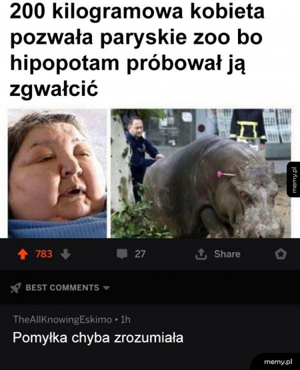 Pomyłka
