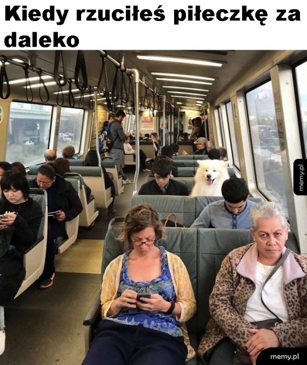 Jedzie po piłkę