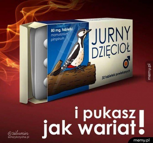 Jurny dzięcioł