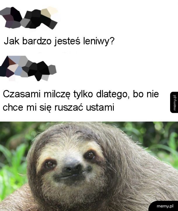 Lenistwo
