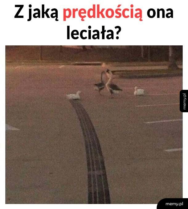 Szybko było