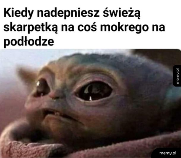 Głośne słowo na k