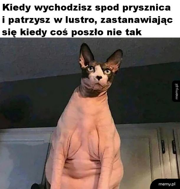 Coś poszło nie tak