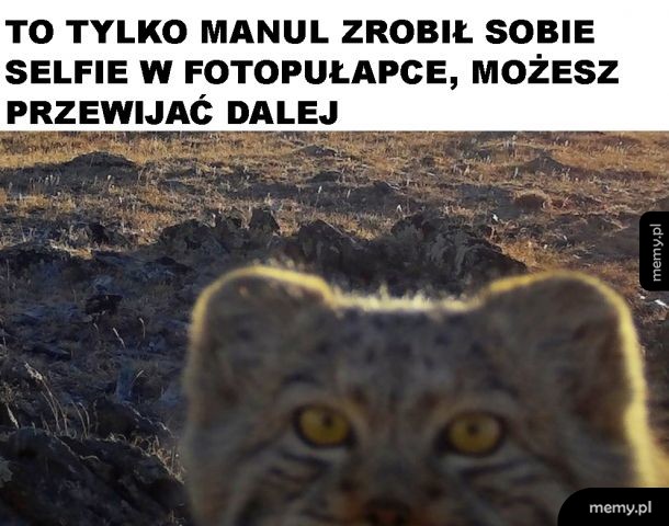 Słodziak