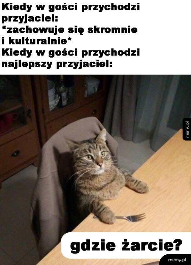 Goście, goście