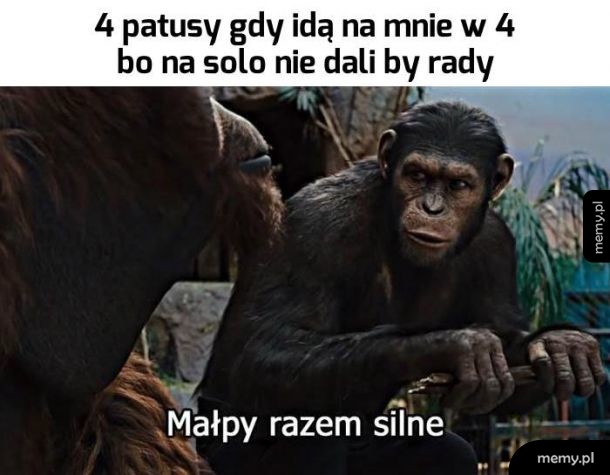 Patusy