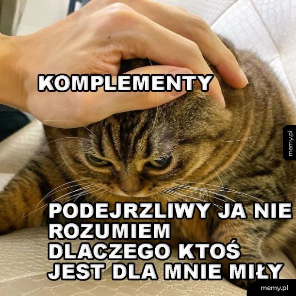 Komplementy