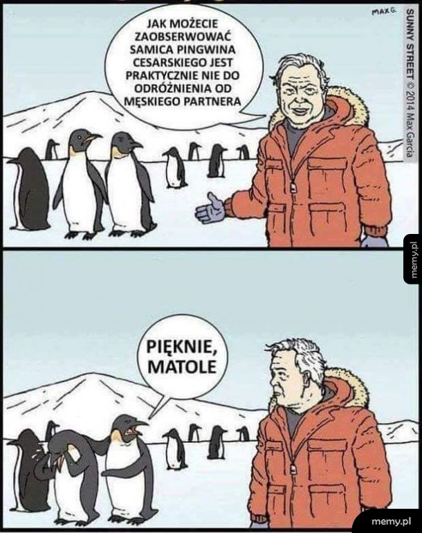 Święta, święta i po świętach.