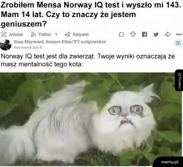 Mensa Norway