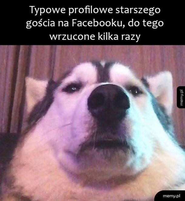 Typowo