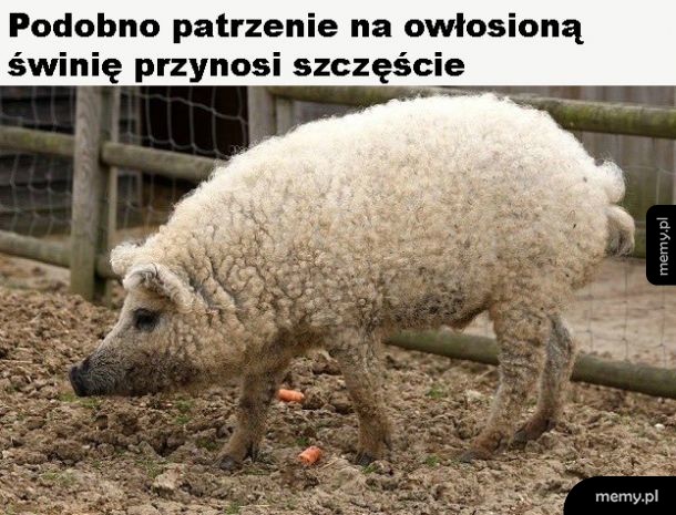 Działa