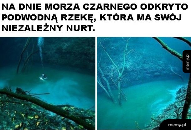 Zadziwiająca jest przyroda