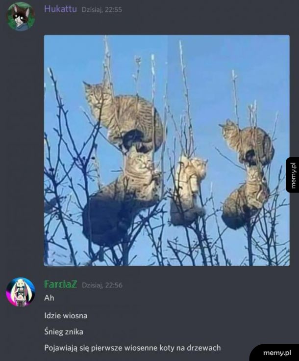 Chce się żyć