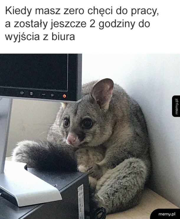 Brak chęci do pracy