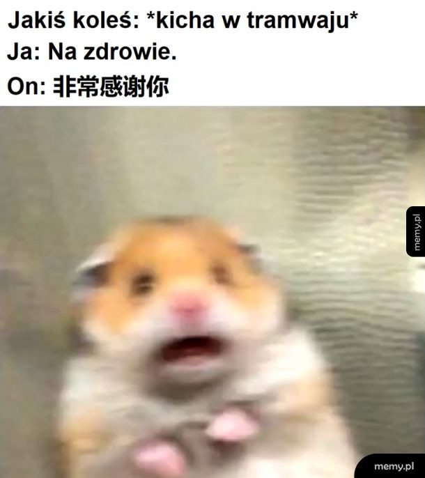 Chińczyk