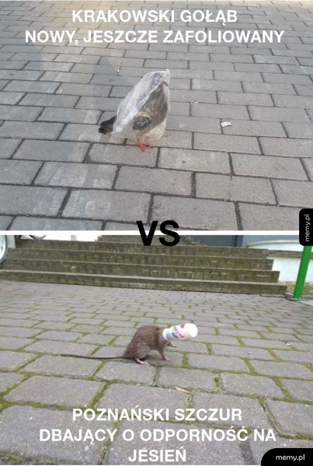 Vs
