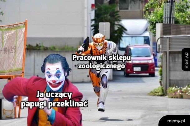 Papugi
