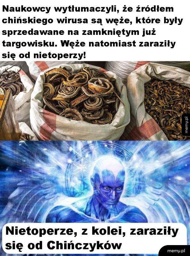 Wirus