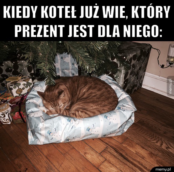 Domyślny koteł