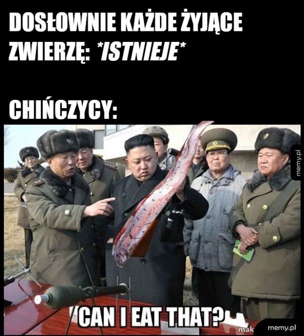 Im dziwniejsze, tym lepiej
