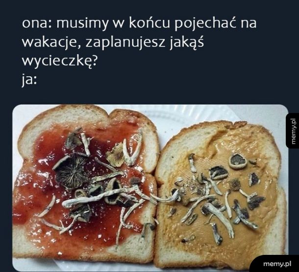 Wycieczka