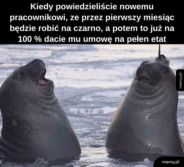 Nawet ja tak robię, choć jestem na samozatrudnieniu