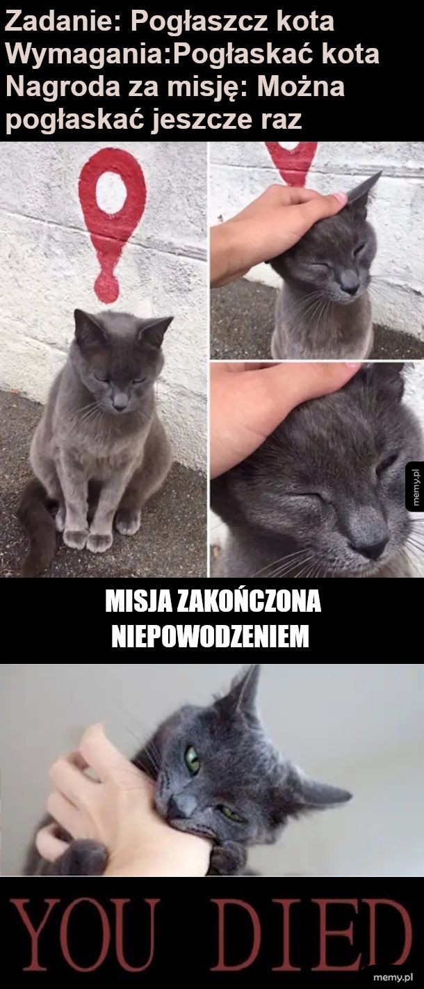 Nowy Quest